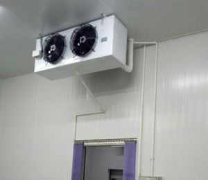 Hệ thống kho lạnh nhà xưởng - Trung Tâm Cơ Điện Lạnh Tùng Dương